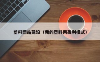 湛江塑料网站建设（我的塑料网盈利模式）