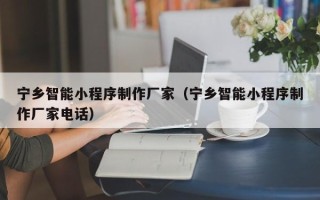 湛江宁乡智能小程序制作厂家（宁乡智能小程序制作厂家电话）