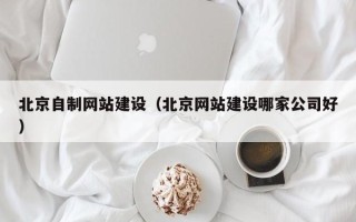 湛江北京自制网站建设（北京网站建设哪家公司好）